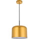 Amity 1 Light 11 inch Satin Gold Pendant Ceiling Light