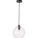 Womelsdorf 1 Light 10 inch Black Pendant Ceiling Light