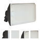 Montauk LED 4 inch Black Outdoor Floodlight
