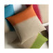 McKeesport 22 X 22 inch Khaki/Teal Pillow Kit