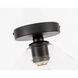 Rochester 1 Light 8 inch Black Flush Mount Ceiling Light
