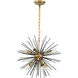 Esopus 8 Light 20 inch Brass and Black Pendant Ceiling Light