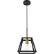 Coatesville 1 Light 9 inch Brass and Black Pendant Ceiling Light