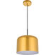 Amity 1 Light 11 inch Satin Gold Pendant Ceiling Light