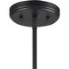 Ogden 10 Light 33 inch Oil Rubbed Bronze Chandelier Ceiling Light