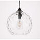 Womelsdorf 1 Light 10 inch Black Pendant Ceiling Light