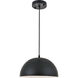 Scotland 1 Light 12 inch Black Pendant Ceiling Light