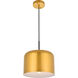 Amity 1 Light 11 inch Satin Gold Pendant Ceiling Light