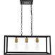 Coatesville 3 Light 9 inch Brass and Black Pendant Ceiling Light