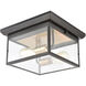 Forty Fort 2 Light 12 inch Matte Black with Brushed Brass Outdoor Flush Mount