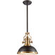 Pittsburgh 1 Light 13 inch Matte Black with Satin Brass Pendant Ceiling Light