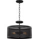 Livonia 2 Light 16 inch Black Semi-Flush Convertible Pendant Ceiling Light