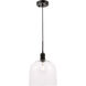 Codorus 1 Light 10 inch Black Pendant Ceiling Light