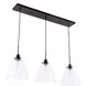 Genesee 3 Light 11 inch Black Pendant Ceiling Light