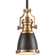 Pittsburgh 1 Light 8 inch Oil Rubbed Bronze with Satin Brass Mini Pendant Ceiling Light