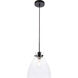 Genesee 1 Light 11 inch Black Pendant Ceiling Light