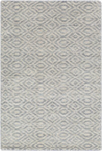 Owego 36 X 24 inch Medium Gray Rug, Rectangle