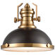 Pittsburgh 1 Light 13 inch Matte Black with Satin Brass Pendant Ceiling Light