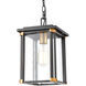 Gettysburg 8 inch 100.00 watt Matte Black with Brushed Brass Outdoor Pendant