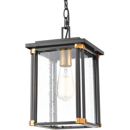 Gettysburg 1 Light 8 inch Matte Black with Brushed Brass Outdoor Pendant