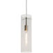 Montauk 1 Light 4.63 inch Satin Nickel Pendant Ceiling Light in Clear Glass