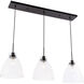 Genesee 3 Light 11 inch Black Pendant Ceiling Light