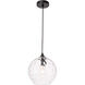 Womelsdorf 1 Light 10 inch Black Pendant Ceiling Light