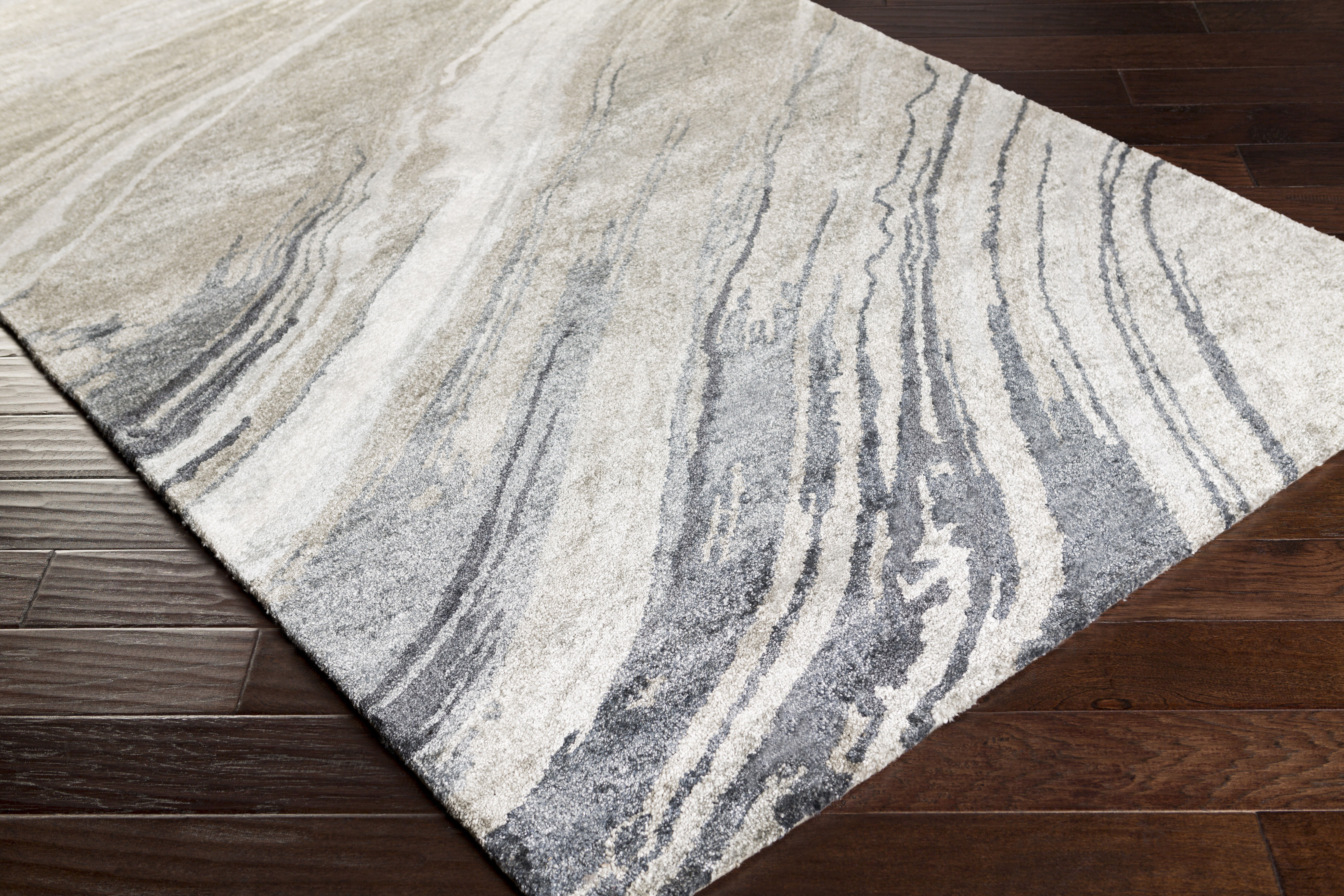 Albany 63 X 39 inch Charcoal Rug, Rectangle