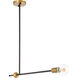 Bergen 1 Light 2 inch Black and Brass Pendant Ceiling Light