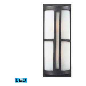 Hyde LED 22 inch Graphite Outdoor Wall Sconce