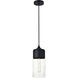 Lock Haven 1 Light 5 inch Black Pendant Ceiling Light