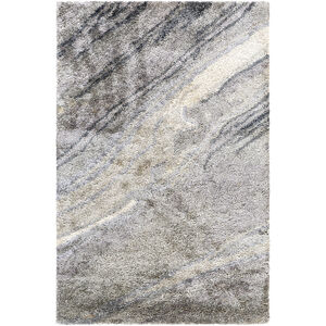 Albany 36 X 24 inch Charcoal Rug, Rectangle
