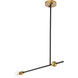 Bergen 1 Light 2 inch Black and Brass Pendant Ceiling Light