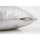 Glenville 18 X 6 inch Silver Pillow