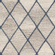 Chester 72 X 48 inch Taupe Rug, Rectangle