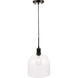 Codorus 1 Light 10 inch Black Pendant Ceiling Light