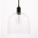 Codorus 1 Light 10 inch Black Pendant Ceiling Light