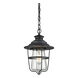 Mifflinburg 1 Light 8 inch Textured Matte Black Outdoor Pendant