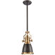 Pittsburgh 1 Light 8 inch Oil Rubbed Bronze with Satin Brass Mini Pendant Ceiling Light