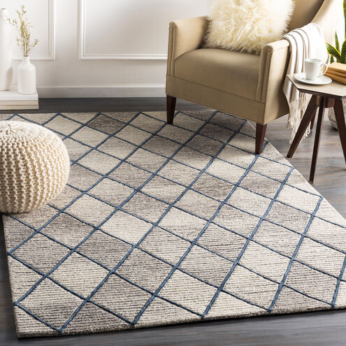 Chester 72 X 48 inch Taupe Rug, Rectangle