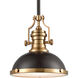 Pittsburgh 1 Light 13 inch Matte Black with Satin Brass Pendant Ceiling Light