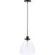 Genesee 1 Light 11 inch Black Pendant Ceiling Light