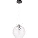 Womelsdorf 1 Light 10 inch Black Pendant Ceiling Light