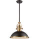 Pittsburgh 1 Light 17 inch Oil Rubbed Bronze with Satin Brass Pendant Ceiling Light