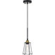 Phoenixville 1 Light 5.3 inch Brass and Black Pendant Ceiling Light