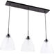 Genesee 3 Light 11 inch Black Pendant Ceiling Light