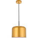 Amity 1 Light 11 inch Satin Gold Pendant Ceiling Light