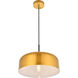 Amity 1 Light 13.8 inch Satin Gold Pendant Ceiling Light