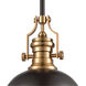 Pittsburgh 1 Light 13 inch Matte Black with Satin Brass Pendant Ceiling Light