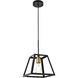 Coatesville 1 Light 9 inch Brass and Black Pendant Ceiling Light